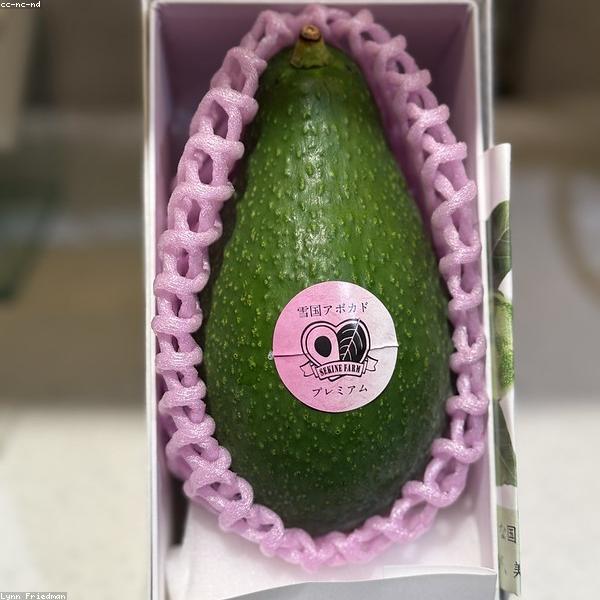 Fresh Avocado (1kg)